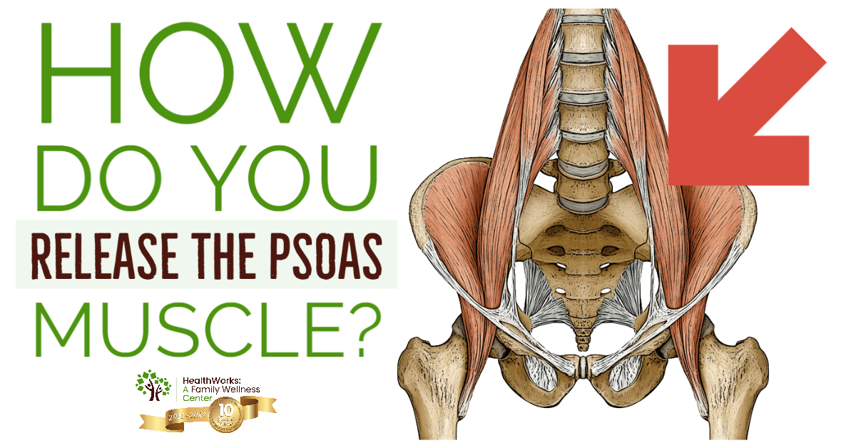 The Psoas In Psoas Muscle Body Posture Psoas Release Images And