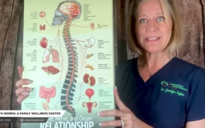 Learn Brain – Body Communication from an Orthospinology Chiropractor in Plano
